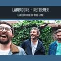 Labradors – Retriever: Recensione