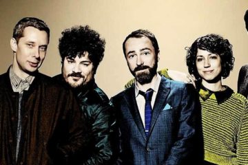 the shins