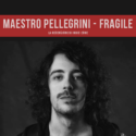 Maestro Pellegrini – Fragile: Recensione