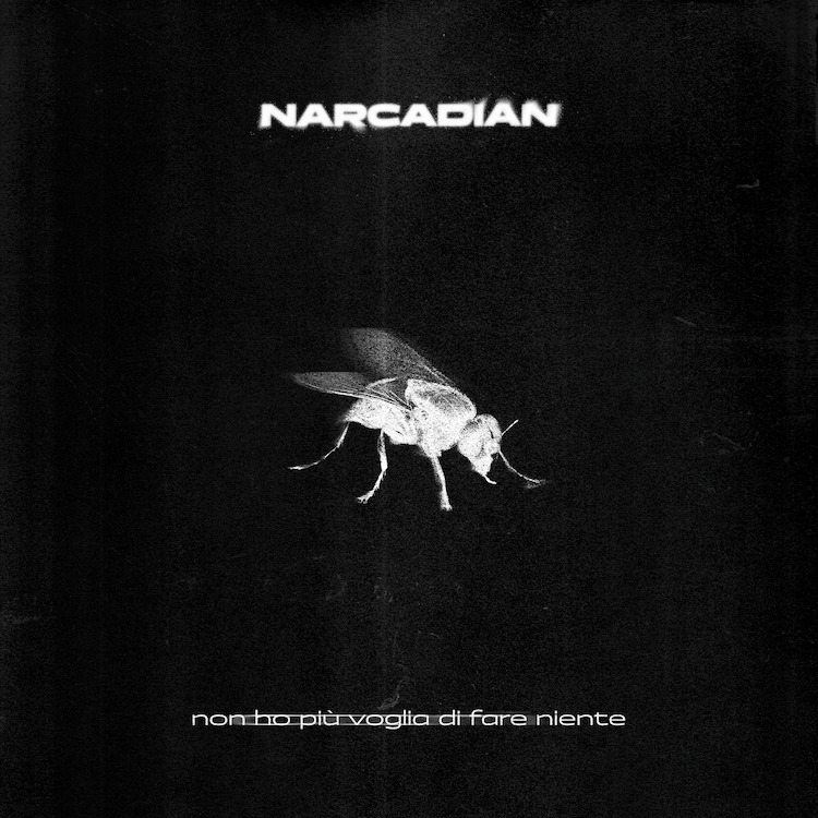 Narcadian non ho più voglia di fare niente