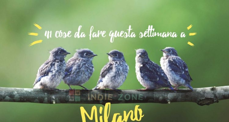 Guida ai Concerti settimanali di Indie-zoneit
