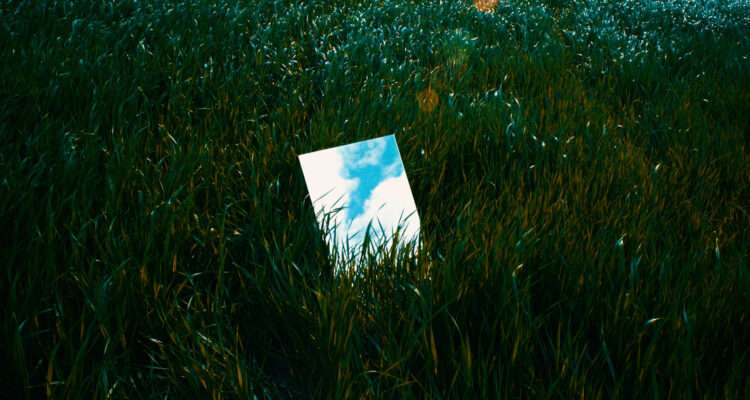 luca sguera lorenzo picarazzi